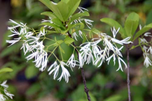 �A�����J�q�g�c�o�^�S�A�ߌ��Βn����