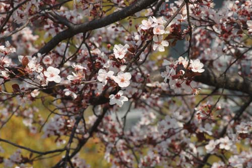 �x�j�o�X�����A�ߌ��Βn����