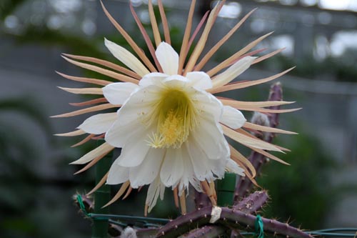 ��֒��A�ߌ��Βn����