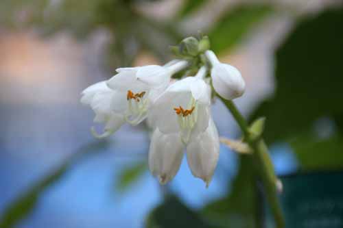 �M�{�E�V�A���s�ߌ��Βn����