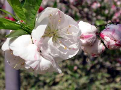 �n�i����