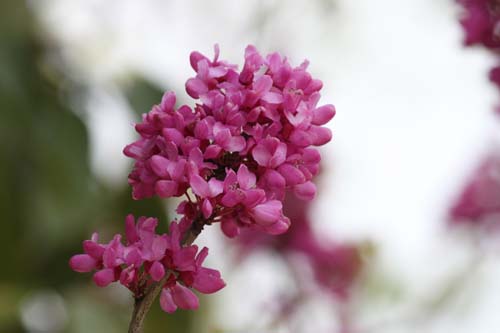 �n�i�Y�I�E�A���s�ߌ��Βn����