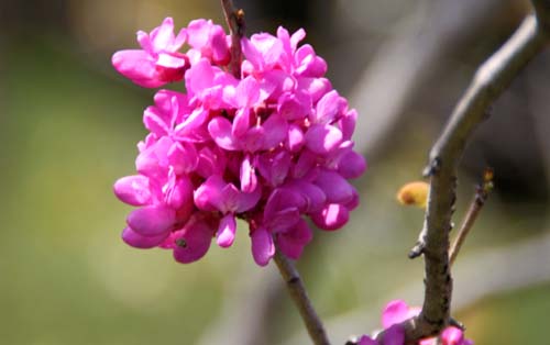 �n�i�Y�I�E�A���s�ߌ��Βn����