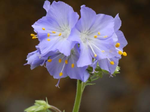 �q�_�J�n�i�V�m�u�A�炭�₱�̉Ԋ�