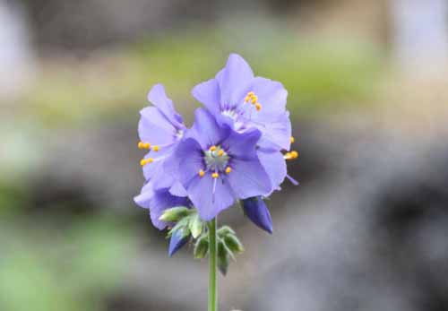 �q�_�J�n�i�V�m�u�A�炭�₱�̉Ԋ�