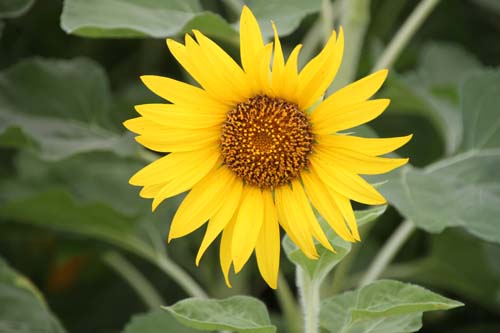 �q�}����