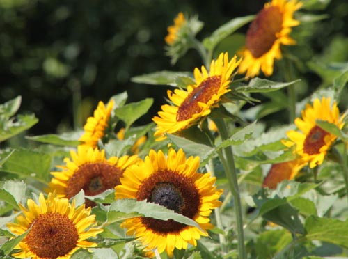 �q�}����