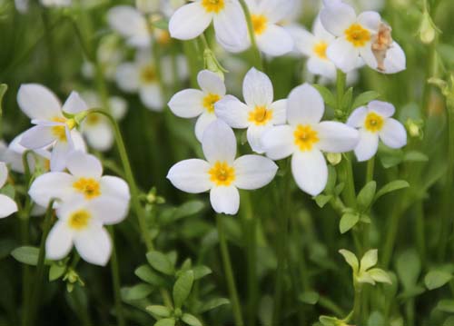 �q�i�\�E�A�炭�₱�̉Ԋ�