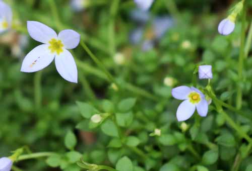 �q�i�\�E�A�炭�₱�̉Ԋ�