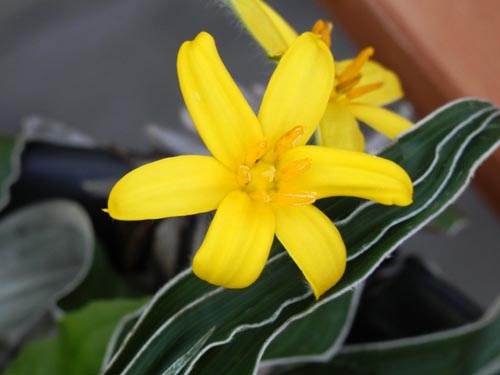 �q�|�L�V�X�A�炭�₱�̉Ԋ�