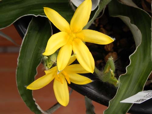 �q�|�L�V�X�A�炭�₱�̉Ԋ�