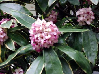 �`���`���E�Q