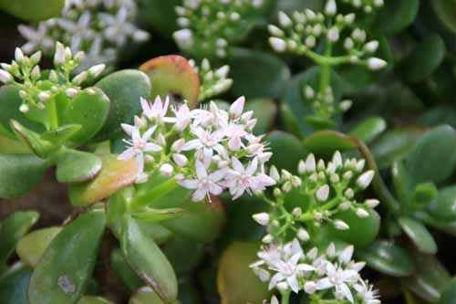 �J�Q�c�i�J�l�m�i���L�j