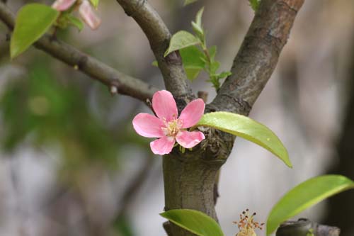 �J�����A���s�ߌ��Βn����