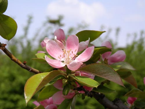 �J�����A���s�ߌ��Βn����