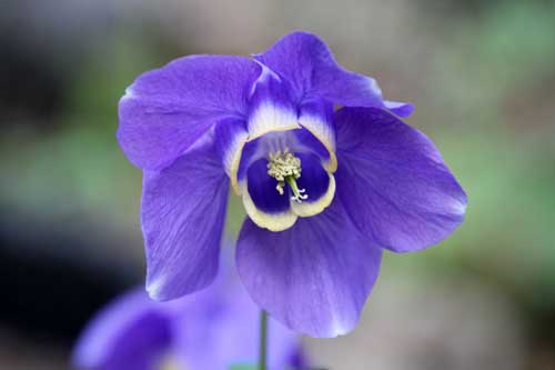 �J�V�|�I�_�}�L�A�炭�₱�̉ԊقŎB�e