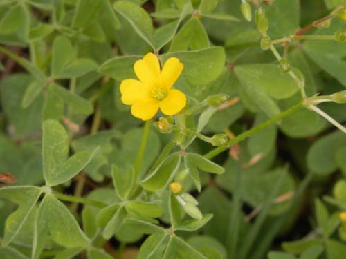 �J�^�o�~�A���s�ߌ��Βn����