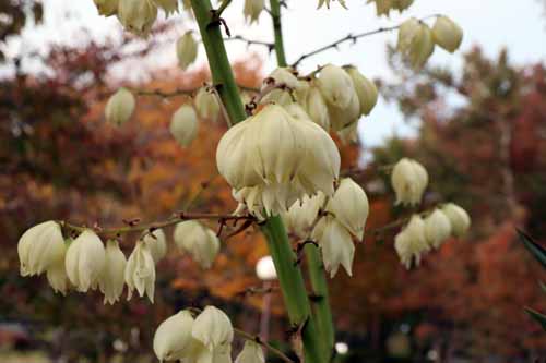 �L�~�K�������A�ߌ��Βn