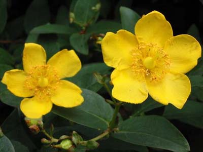 �L���V�o�C