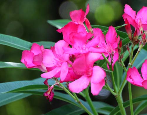 �L���E�`�N�g�E�A�ߌ��Βn����