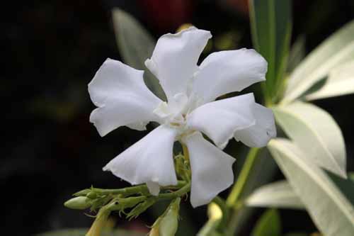 �L���E�`�N�g�E�A�ߌ��Βn����