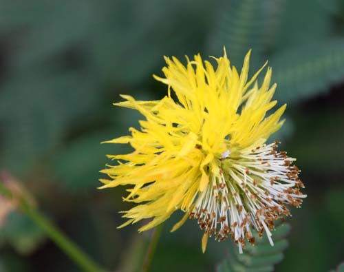 �~�Y�I�W�M�\�E�A�炭�₱�̉Ԋ�