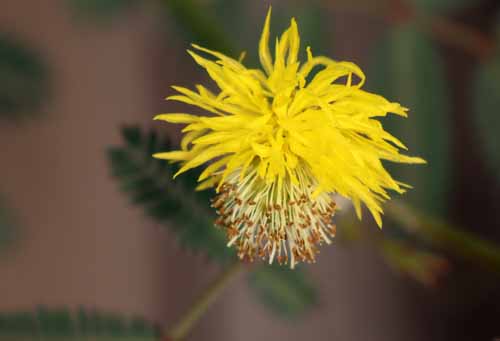 �~�Y�I�W�M�\�E�A�炭�₱�̉Ԋ�