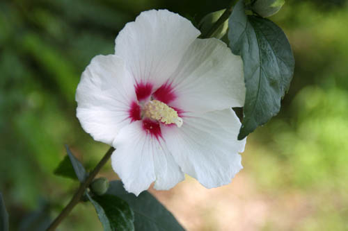 ���N�Q�E�ߌ��Βn����