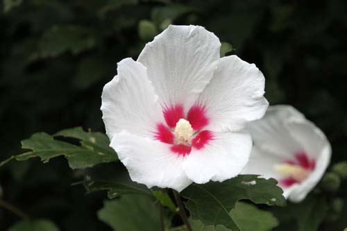 ���N�Q�E�ߌ��Βn����