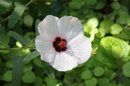 ���N�Q�E�ߌ��Βn����