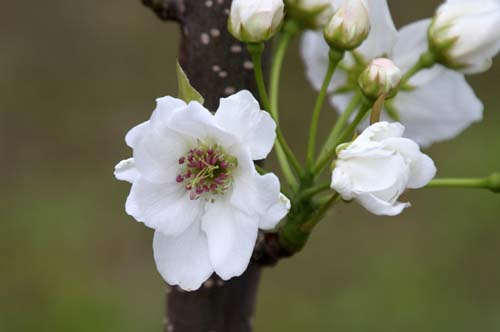 �i�V�A�炭�₱�̉Ԋ�