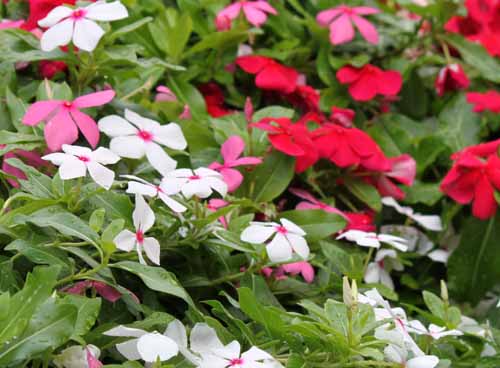 �j�`�j�`�\�E�A�ߌ��Βn