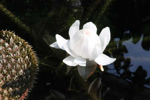 �I�I�I�j�o�X�A�炭�₱�̉Ԋ�