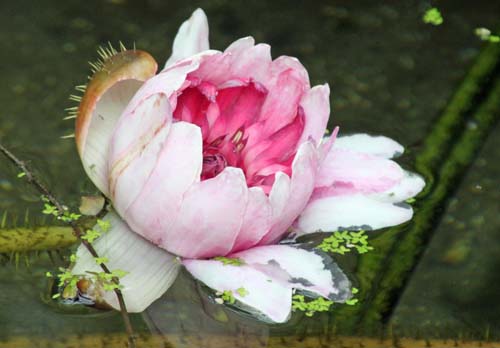 �I�I�I�j�o�X�A�炭�₱�̉Ԋ�