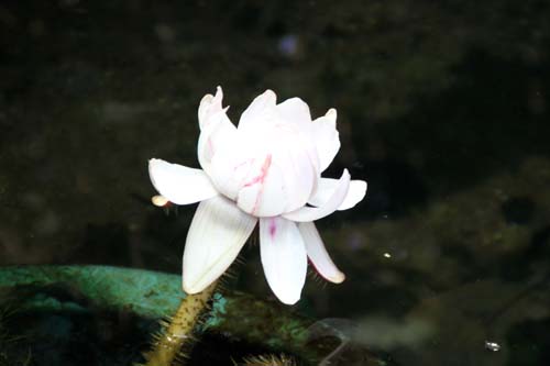 �I�I�I�j�o�X�A�炭�₱�̉Ԋ�