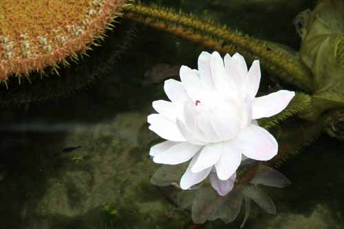 �I�I�I�j�o�X�A�炭�₱�̉Ԋ�