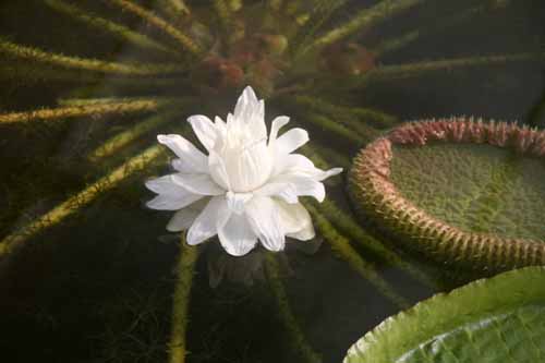 �I�I�I�j�o�X�A�炭�₱�̉Ԋ�