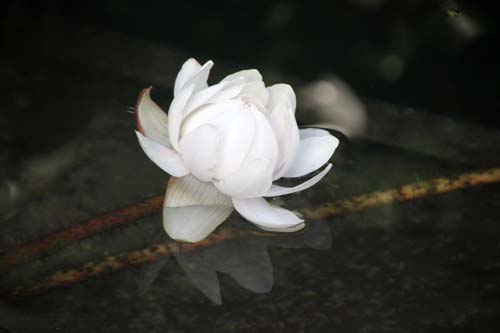 �I�I�I�j�o�X�A�炭�₱�̉Ԋ�