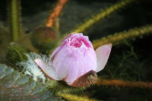 �I�I�I�j�o�X�A�炭�₱�̉Ԋ�