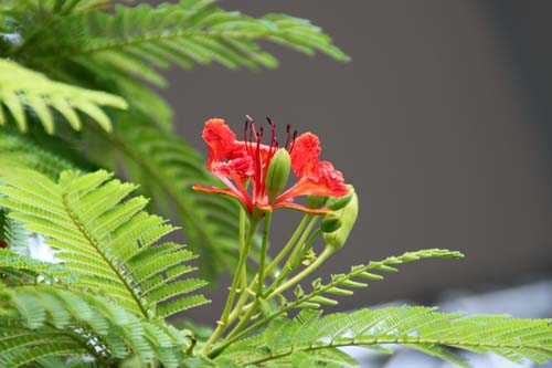 �I�E�I�E�{�N�A�炭�₱�̉Ԋ�