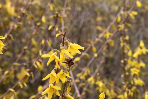 �����M���E�A�ߌ��Βn����