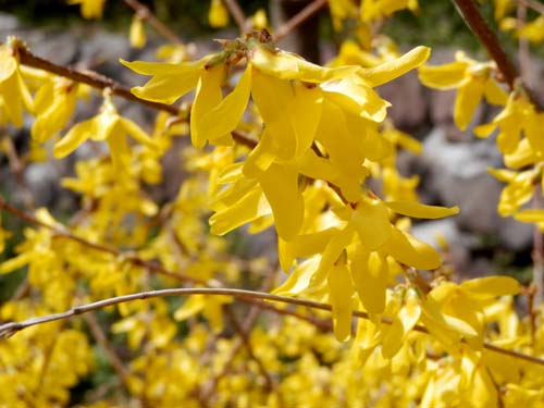 �����M���E�A�ߌ��Βn����