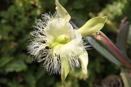 �����R�����A�E�f�B�O�r�A�i�A�炭�₱�̉ԊقŎB�e