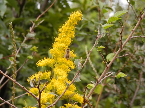 �Z�C�^�J�A���_�`�\�E