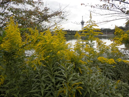 �Z�C�^�J�A���_�`�\�E