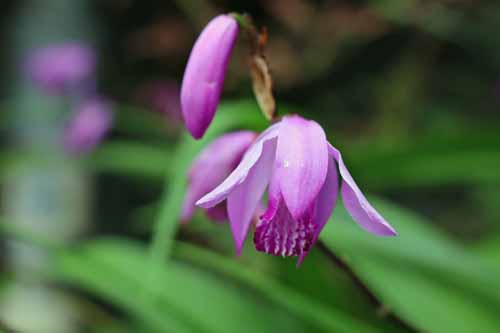 �V�����i�����j