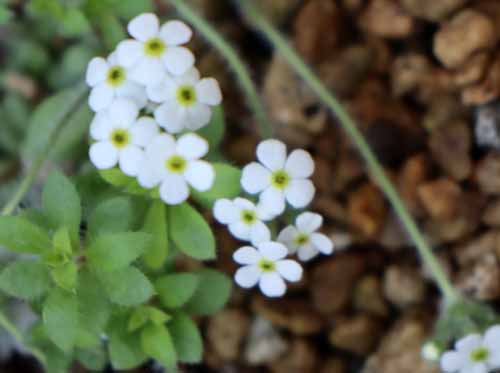 �g�`�i�C�\�E�A�炭�₱�̉Ԋ�