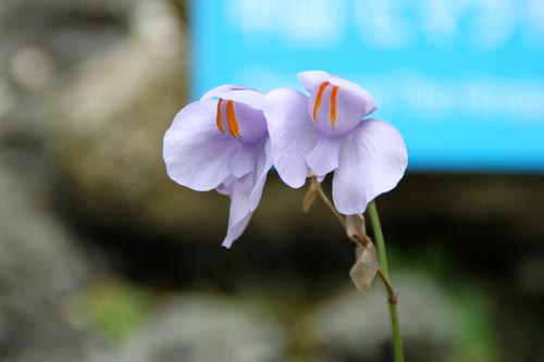 �E�g���N�����A�E���j�z�H���~�X�A�ߌ��Βn����