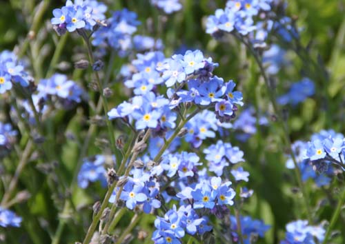 ���X���i�O�T�A�ߌ��Βn����