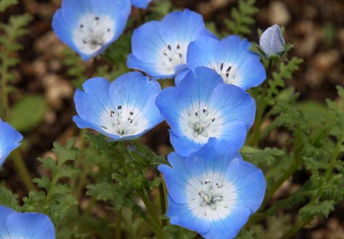 ���X���i�O�T�A�ߌ��Βn����